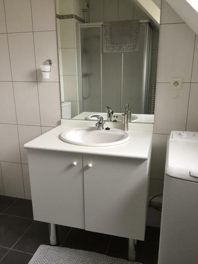 Apartament Les Menetriers Ribeauvillé Zewnętrze zdjęcie