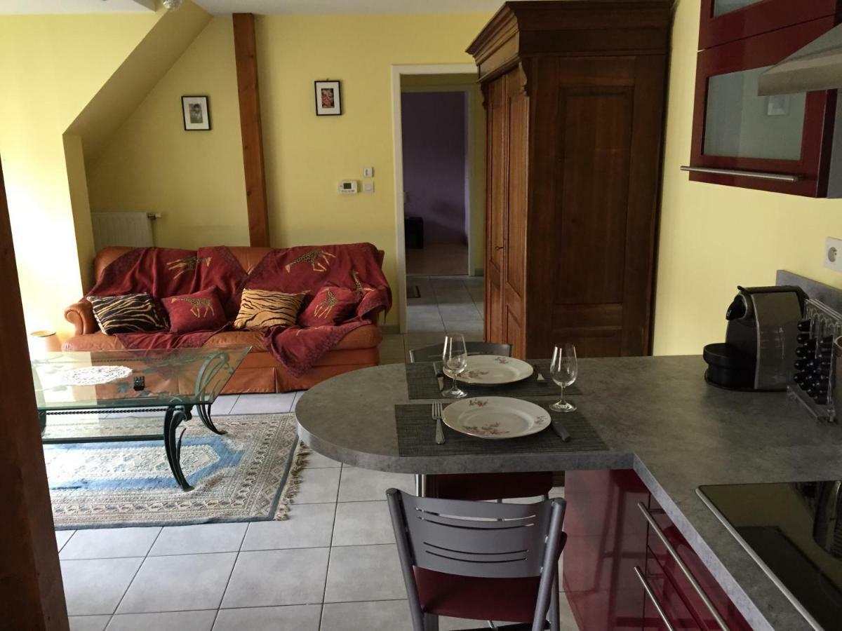 Apartament Les Menetriers Ribeauvillé Zewnętrze zdjęcie