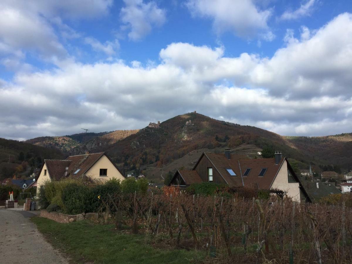 Apartament Les Menetriers Ribeauvillé Zewnętrze zdjęcie