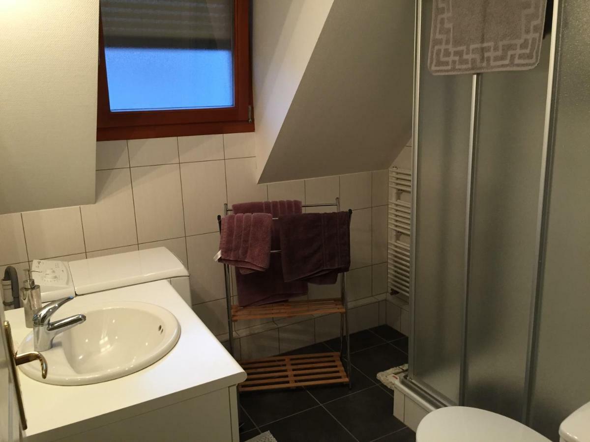 Apartament Les Menetriers Ribeauvillé Zewnętrze zdjęcie
